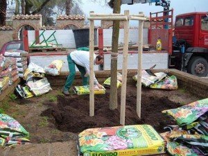 Spandimento di ammendante torboso fertilizzato e corretto