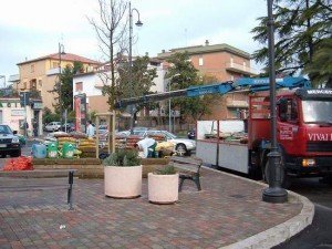 Sacchi di ammendante torboso fertilizzato e corretto e di Scorza di Pino Silvestre e Marittimo