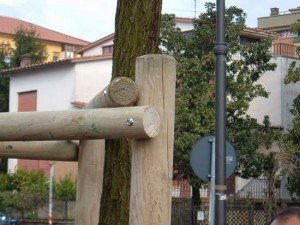 Particolare della tutorazione