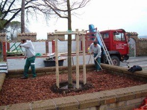 Spandimento e livellamento di Scorza di Pino Silvestre e Marittimo
