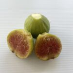 Fico Fiorone