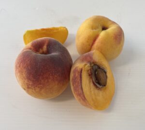 Pesco Cotogna di Rosano - Frutto - Vivai Frappetta