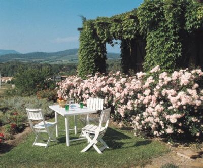 La Rosa Bonica è dotata di tutto lo charme delle rose di altri tempi