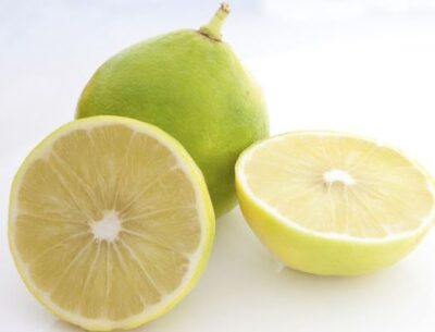 Frutto intero e aperto di Bergamotto fantastico