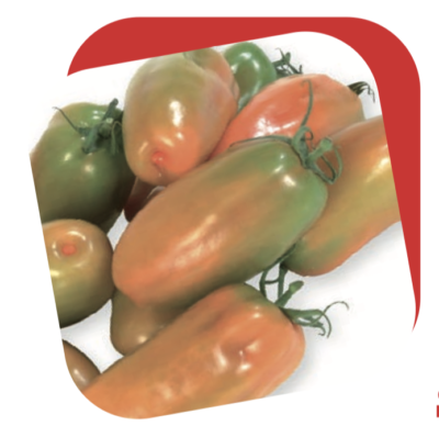 Pomodoro San Marzano