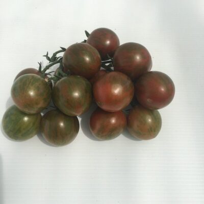 Pomodoro Tigrato - immagine 3