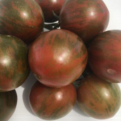 Pomodoro Tigrato - immagine 4