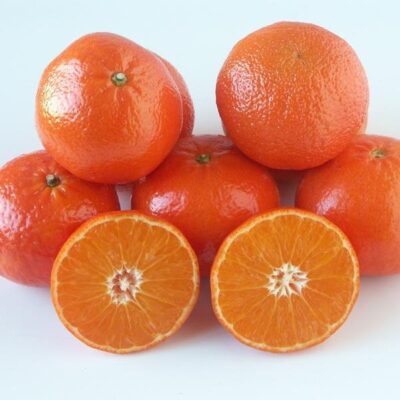 frutti di tangelo nova clemenvilla