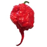 peperoncino carolina reaper