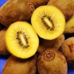 Il Kiwi a Polpa Gialla Soreli è una recente varietà di Actinidia chinensis