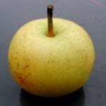 frutto di Nashi shinseiki