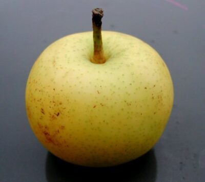 frutto di Nashi shinseiki