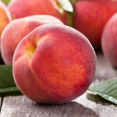 Primo piano del frutto di Pesco Fayette