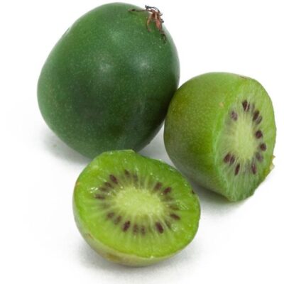 L'Issai è una varietà AUTOFERTILE. Frutto medio (60g), buccia sottile verderossiccia, liscia e glabra.