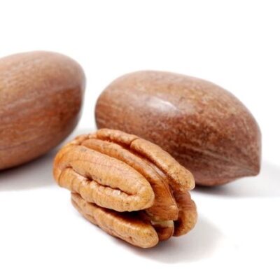 Particolare dei frutti di Noce Pecan