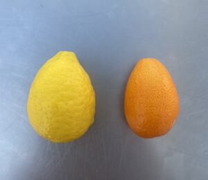 Confronto tra Limequat e Kumquat
