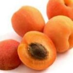 Albicocco Pellechiella