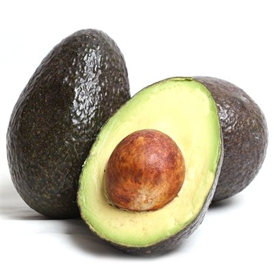 Persea americana 'Hass' AVOCADO