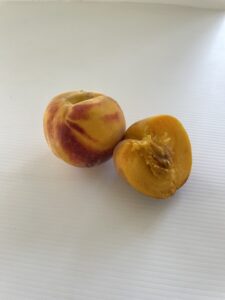 Frutto di PESCO PERCOCA ANDROSS - Vivai Frappetta