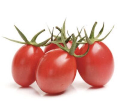 pomodori