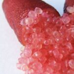 Limone Caviale Rosso