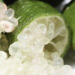 Limone caviale bianco
