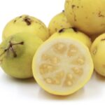 Psidium guayava 'Lemon'