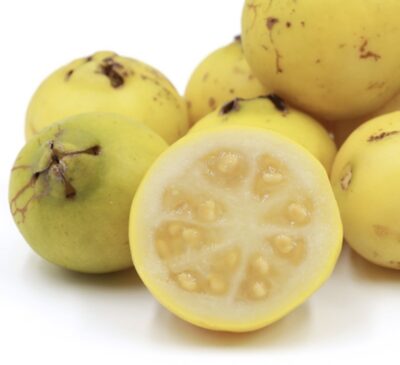 Psidium guayava 'Lemon'
