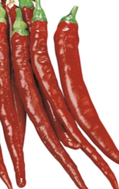 Peperoncino Cayenna